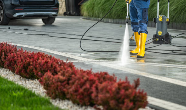 Best House Exterior Washing  in Newport, NC